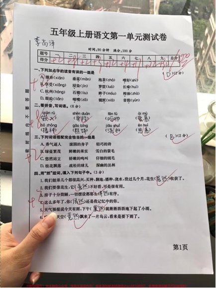 五年级一线老师整理版资源（全网独家）预览2