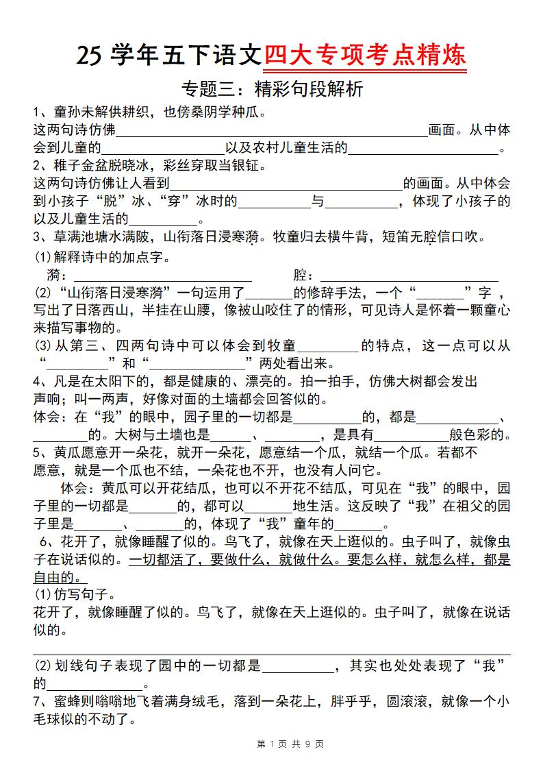 25学年五下语文四大专项考点精炼（专题三：精彩句段解析）