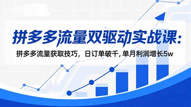 拼多多流量双驱动实战课：拼多多流量获取技巧，日订单破千,单月利润增长5w